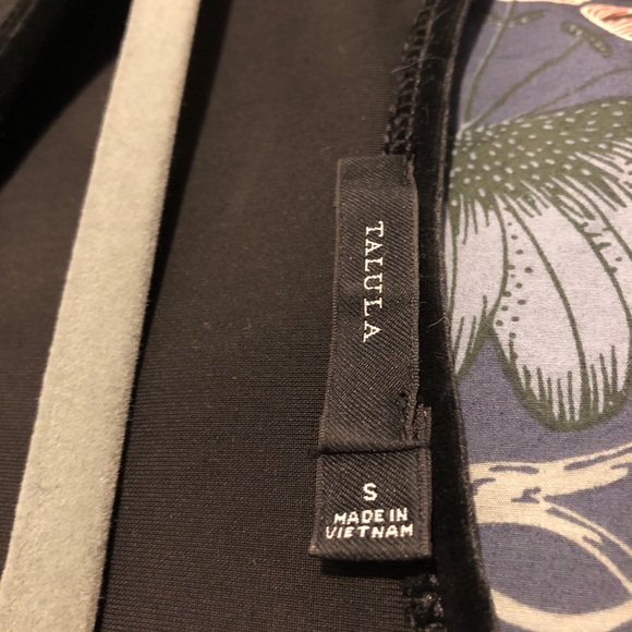 Aritizia Talula Lambeth Black Velvet Dress - Picture 5 of 5